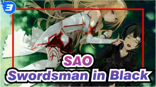 Sword Art Online|[Epicness Ahead]"Have you seen a swordsman dressed in black?_3