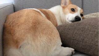 The way your mom calls you to wake up in the morning!