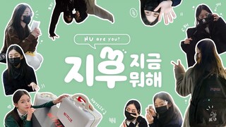(SUB)[지후로그] HU are you? 박지후를 소개합니다. (feat. 첫 브이로그, 03년생, 박애기, 지우학, 남온조, K고딩)