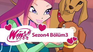 Winx Club - Sezon 4 Bölüm 3 - Dünya'daki Son Peri