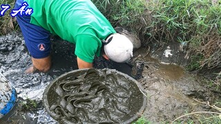 7 Ân bắt trúng Ổ CÁ DƯỚI LỚP BÙN - batca #3