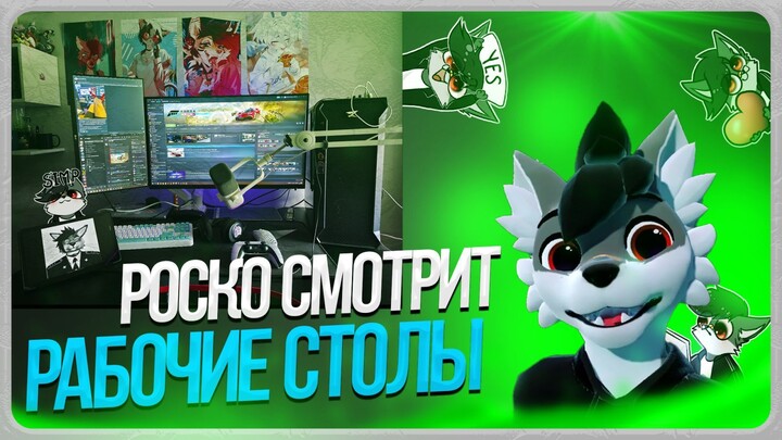 🐺 РОСКО СМОТРИТ РАБОЧИЕ СТОЛЫ ПОДПИСЧИКОВ 🖥️ 💻