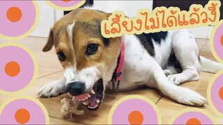 โลกของแสนดี ตอน ขู่พี่ปรางจะไม่เลี้ยงแล้ว?!