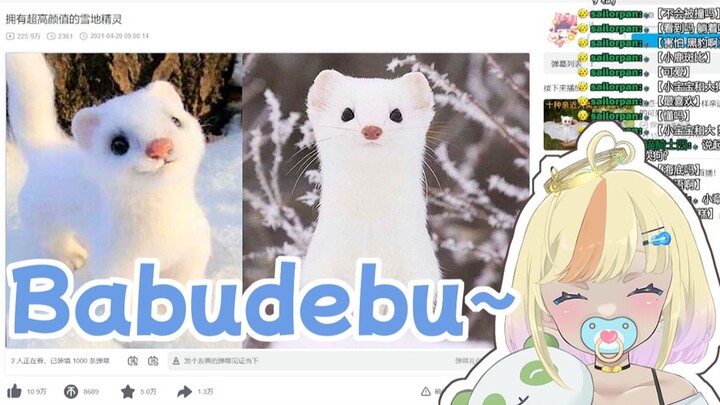 日本辣妹看《拥有超高颜值的雪地精灵》被白鼬萌到幼儿退行【B限熟肉】