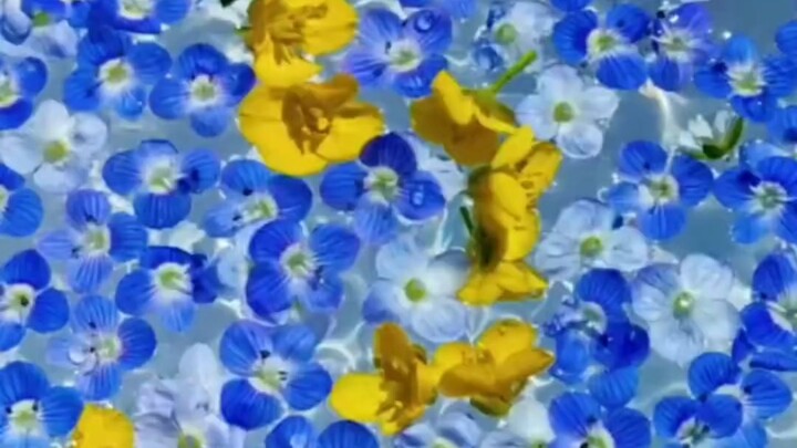 I’m dying of laughter, guys...