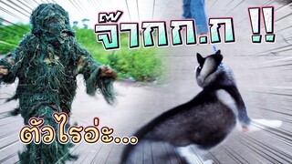 แกล้งเออเรอร์ !! ชุดพรางตัว..ตกใจสุดขีด - DING DONG DAD