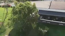 short drama