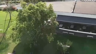 short drama