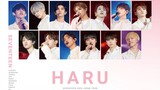 SEVENTEEN 'HARU' JAPAN TOUR MAKING FILM