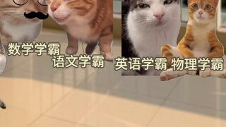 When the science geeks gather together.