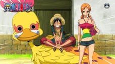 Luffy Lawan Mantan kru Rock D Xebec