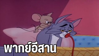 ทอมแอนด์เจอร์รี่ พากย์อีสาน ตอน แมวตัวใหม่