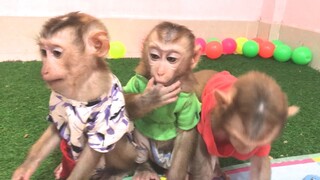 Waiting for milk to be served, while mom is preparing