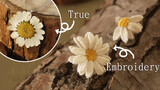 【Embroidery/DriedFlowerArt】Made a bunch of daisies!