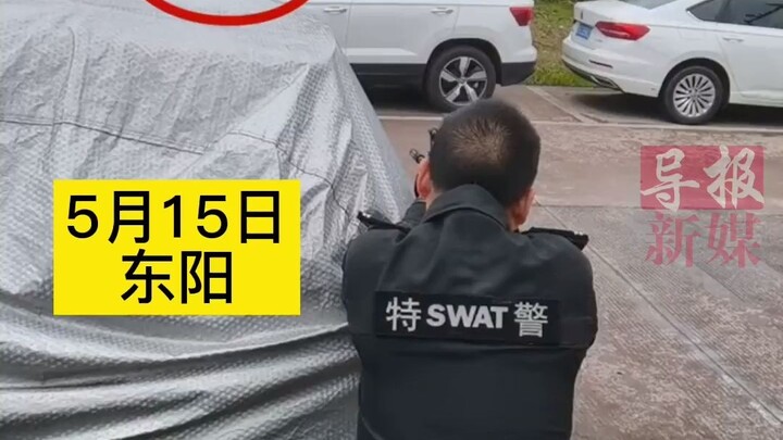 Con bò điên "trốn thoát" và gây nguy hiểm cho người dân nên cảnh sát đặc nhiệm đã quyết định bắn chế