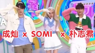 SOMI x 成灿 x 朴志焄《DUMB DUMB》舞蹈视频公开！
