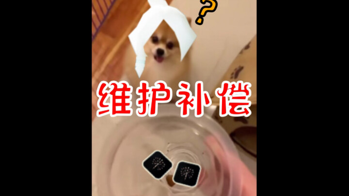 维 护 补 偿