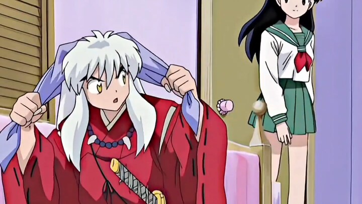 Thời thơ ấu xem đánh quái, khi trưởng thành lại nhìn chuyện tay ba; InuYasha đã dùng hai mươi năm để