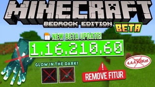 UPDATE! MCPE BETA V1.16.210.60 | XBOX LIVE - REMOVE ALL FITUR  GLOW SQUID! 🐙