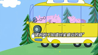 “这导航也太逆天了！”