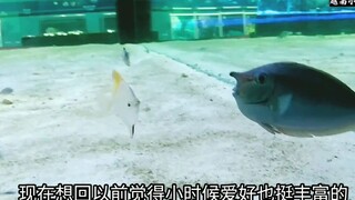 Cưới nhau 1 năm rồi cảm thấy thế nào__ 越南小潘辛亏嫁给福建老公_ Cuộc sống ở Trung Quốc