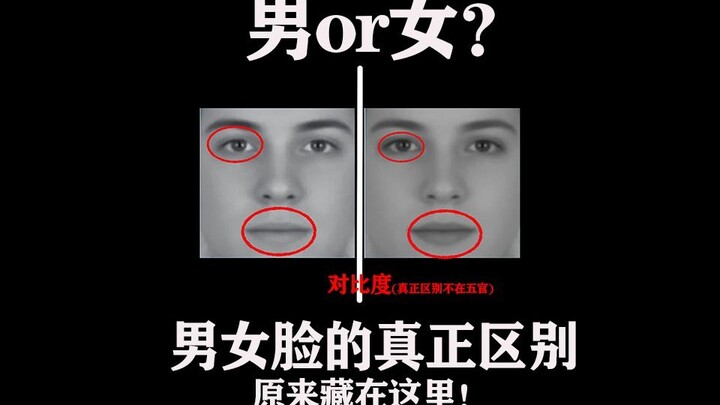 الفرق الحقيقي بين وجوه الرجال والنساء مخفي هنا!