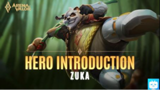 Zuka Hero Introduction Guide #AOV