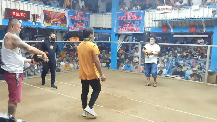 4kings Backyard lasak Mandaluyong cockpit arena