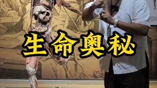اكتشف أسرار جسم الإنسان، وفهم جوهر الحياة، ومعرفة الحياة، واعتز بالحياة، واحترم الحياة!