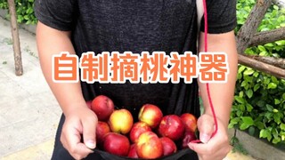 Make a Peach Picking Tool with a Sprite Bottle