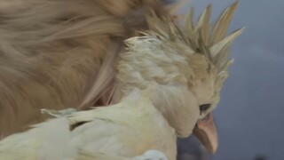 这三秒我反复观看一万遍