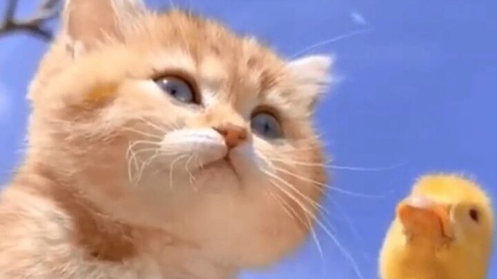 Dua kali lebih imut! 【Dua kali lebih bahagia】