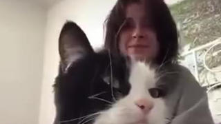 撸得好，撸的妙，不如撸的猫咪呱呱叫...