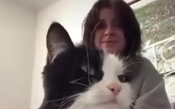Good petting, wonderful petting, but not as good as petting a cat that makes you cry...