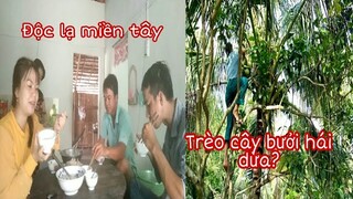 #72: Về quê được đãi cháo gà - Trèo cây bưởi hái dừa chuyện lạ miền tây