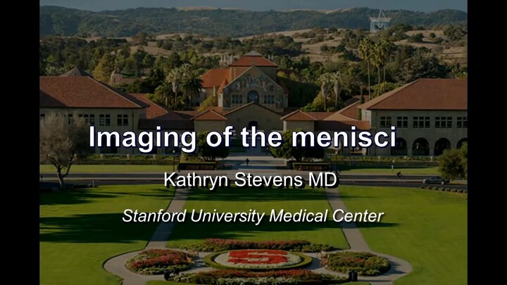 Imaging of The Menisci