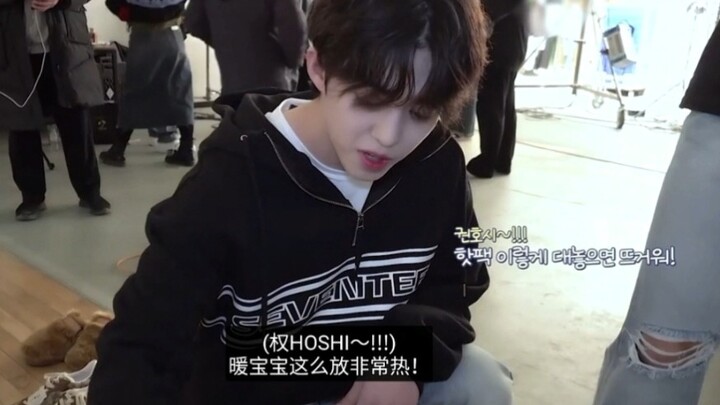 【SVT】Thấy mèo con là ai cũng đứng hình luôn～