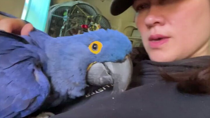 Big bird cuddling is so healing ❤