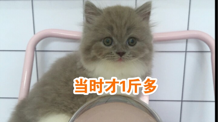 Selama 4 tahun dia menemaniku menghadapi segala liku hidup, kami saling setia dan tak pernah meningg