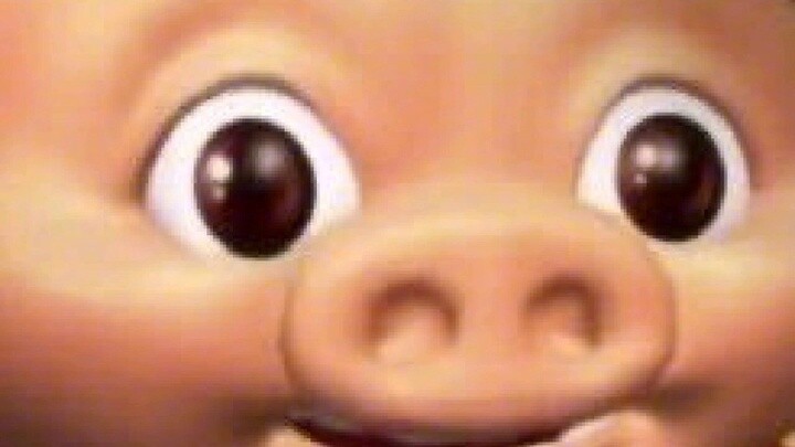 Kamu bilang kamu punya saudara perempuan, kan?