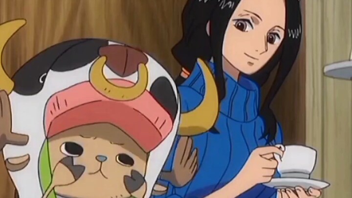 草帽海贼团团宠