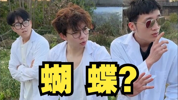 夏天看到成群的蝴蝶，要小心了