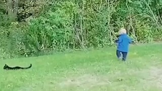 不得不说人家确实是完成了任务