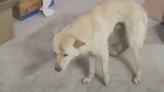 As soon as restrictions were lifted, you immediately went out to have fun.