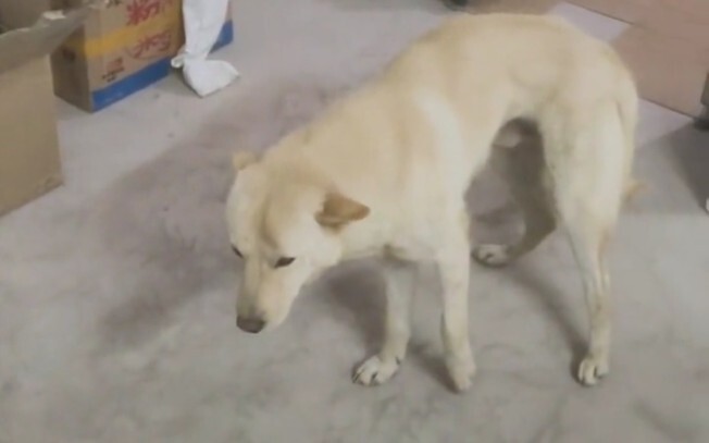 As soon as restrictions were lifted, you immediately went out to have fun.