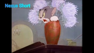 Tom & Jerry (Ep 4.1) Fraidy Cat (phần 1) #TomandJerry