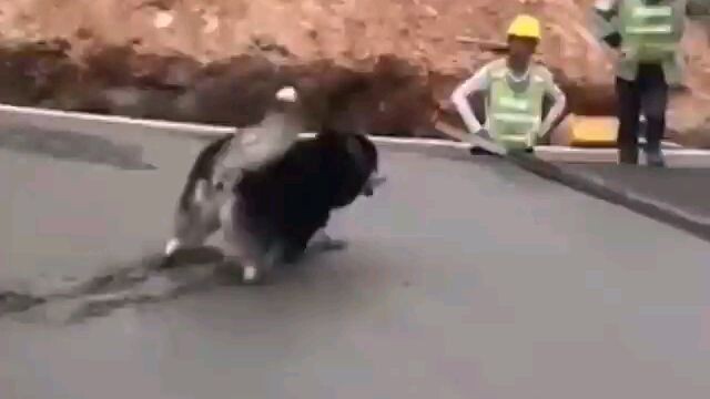 Đường gì mà lún quá vậy nè