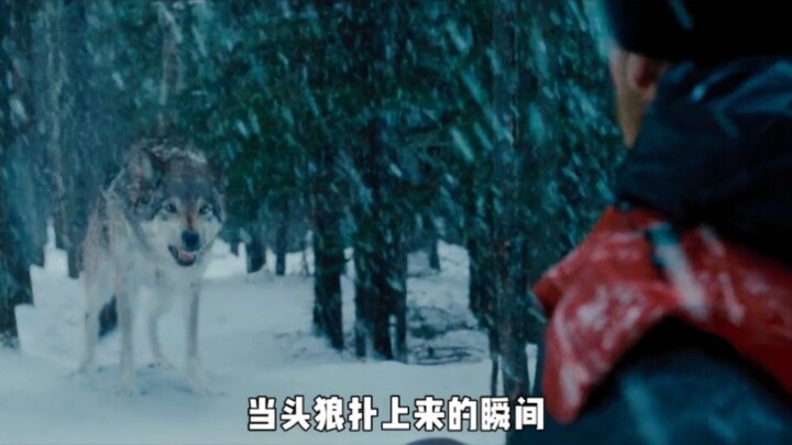 ชายคนหนึ่งเพื่อหลบหนีจากมือสังหาร ถึงขั้นยอมปล่อยตัวเองให้หมาป่ากิน