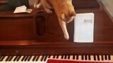 [Remix] Kucing x Piano