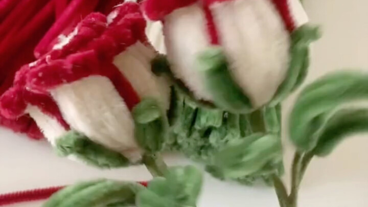 Schubert Rose Pipe Cleaner Tutorial